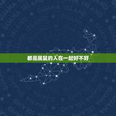 都是属鼠的人在一起好不好，两个人都是属鼠的夫妻好不好