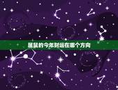 属鼠的今年财运在哪个方向，1984年属鼠财运如何 1984年属鼠财运怎