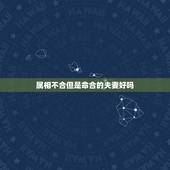 属相不合但是命合的夫妻好吗，请问夫妻属相不合会影响家庭命运吗？
