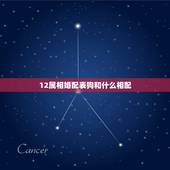 12属相婚配表狗和什么相配，狗属相婚配表大全 属狗的和什么属相般配