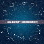 1982年属狗和1984年属鼠婚配如何，1982年男属狗跟1984年女