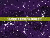 属虎和蛇夫妻生什么属相的孩子好，属蛇和属虎的生什么属相