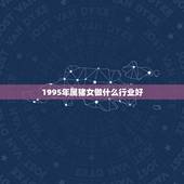 1995年属猪女做什么行业好，1995年属猪女的姻缘2022