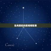 生肖属蛇的属相婚配表，属相婚配表，属蛇的和什么属相最配