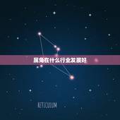 属兔在什么行业发展好，1987属兔适合什么生意