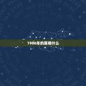 1986年的属相什么，86年出生啥属相