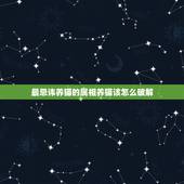 最忌讳养猫的属相养猫该怎么破解，什么属相不能养猫