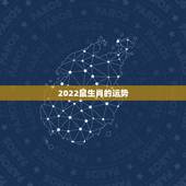 2022鼠生肖的运势，2022年12生肖运势解析