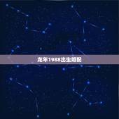 龙年1988出生婚配，1988龙年出生人和1979年相配