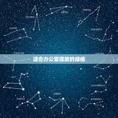 适合办公室摆放的绿植，适宜摆放在办公室的植物都有哪些