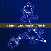 从前有个书生和心爱的女子订了婚配音，求台词“我愿化身石桥…”和