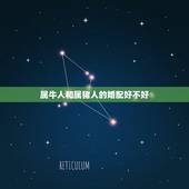 属牛人和属猪人的婚配好不好，属猪的女和属牛的男相配吗