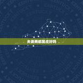 夫妻两都属虎好吗，两个虎属相在一起合适吗