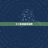 十二生肖金日运势，十二生肖运势查询？
