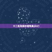 十二生肖相冲相克表2021，十二生肖年份表2021