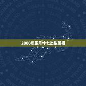 2000年正月十七出生属相，2000年正月17，00点出生的八字是，是