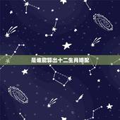 是谁能算出十二生肖婚配，12属相婚配