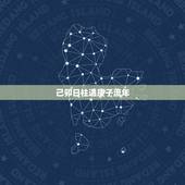 己卯日柱遇庚子流年，癸卯日柱遇更好流年
