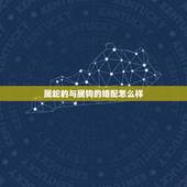 属蛇的与属狗的婚配怎么样，属蛇和属狗的相配吗
