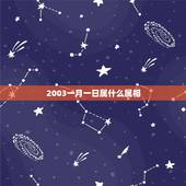 2003一月一日属什么属相，2003年出生的属什么