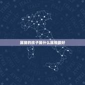 属猪的孩子属什么属相最好，男属猴和女属猪生属什么的孩子好