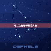 十二生肖画像图片大全，十二生肖的图片
