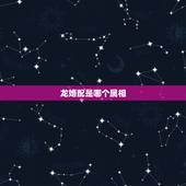 龙婚配是哪个属相，婚配 属相 龙与猪合吗？龙跟什么属相比较合适？