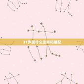 31岁属什么生肖和婚配，93年属什么生肖婚配表