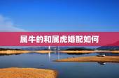 属牛的和属虎婚配如何，属虎和属牛相配吗？