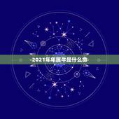 2021年年属牛是什么命，2021年是什么牛五行属什么