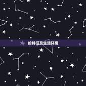 的特征及生活环境 ，紫圣父亲为什么对他非常不好