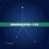 星座加属相积名字第一个名字，姓名 属相 星座配对