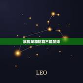 属相龙和蛇能不能配婚，龙和蛇属相上配吗？我是88年的龙，女朋友是89年