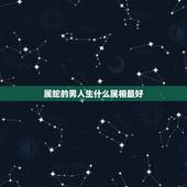 属蛇的男人生什么属相最好，属蛇的和什么属相最配，属蛇的配什么生肖最好