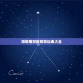 婚姻搭配属相命运表大全，婚姻搭配属相 命运表