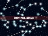 属马1978年43走大运，1978年属马未来5年大运