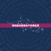 兔和鼠的属相合不合做生意，属兔和属鼠合不合