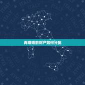 再婚婚前财产如何分配，二婚的妻子把她婚前房产给她女儿，我要求给我儿子过