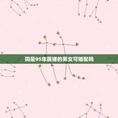 同是95年属猪的男女可婚配吗，1995年属猪的与同年的人婚姻配吗？