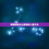 属猴的和什么属相的人最不合，属猴的跟什么属相比较和，什么属相不和？