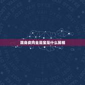 混身皮肉全是宝是什么属相，浑身皮肉都有宝猜十二生肖中的什么动物？