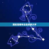 属蛇是哪年出生的多少岁，属龙是哪年出生的