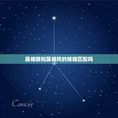 属相猴和属相鸡的婚姻匹配吗，属猴的和属鸡的配吗
