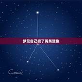 梦见自己捉了两条活鱼，我梦见自己在清晰水塘里捉到几条活鱼