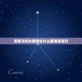 男属马和女属狗生什么属相宝宝好，男的属马女的属狗什么属相的孩子好