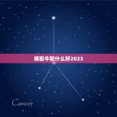 婚配牛配什么好2023，属牛的和什么属相配最好呢！
