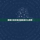属相大龙见兔云端走是什么意思，“龙逢兔儿云端去”是什么意思？