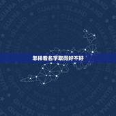 怎样看名字取得好不好，怎样测试名字取得好不好