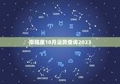 摩羯座10月运势查询2023，摩羯座十一月的运势？