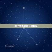 猴子生肖和什么属相配，属猴的生肖婚配表 属猴的和什么属相最配？